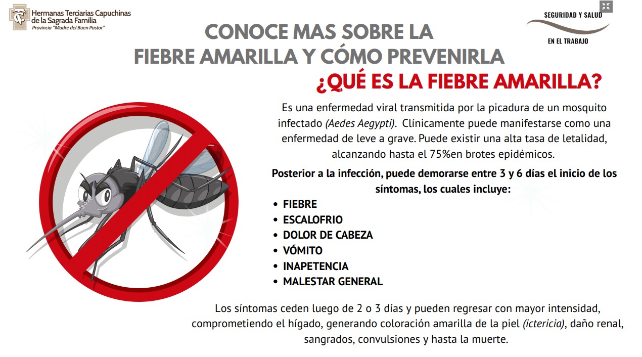 Medidas Preventivas contra la Fiebre Amarilla